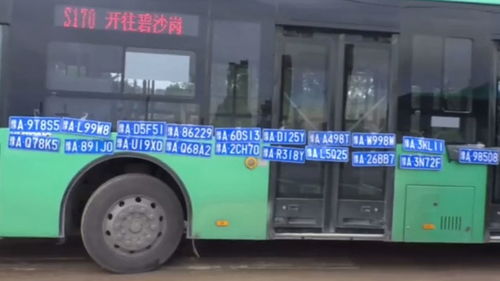 优秀 公交司机水中捡到20多个车牌,挂公交车上供车牌主领回