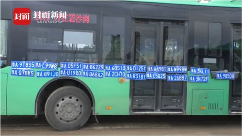 豫a86229车主快去领车牌 郑州公交司机捡到数十个车牌挂在车身等失主领